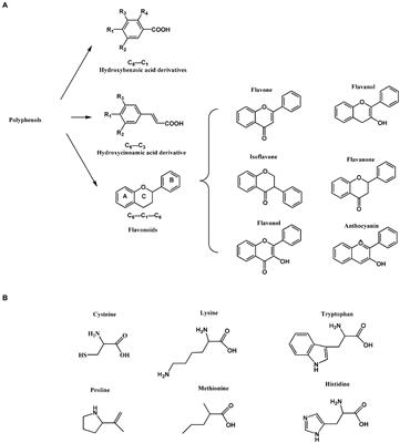 Covalent polyphenols-proteins interactions in food processing: formation mechanisms, quantification methods, bioactive effects, and applications